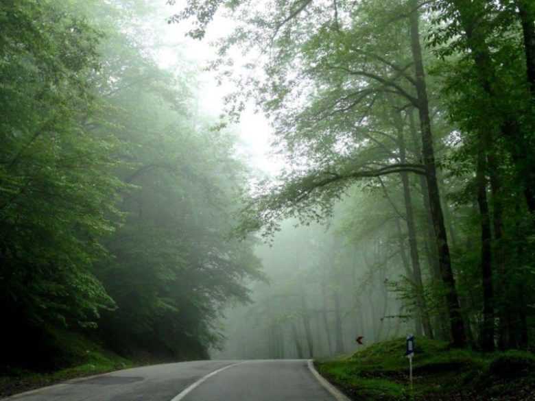 جاده‌های کجور؛ مسیر تجربه طبیعت بکر مازندران