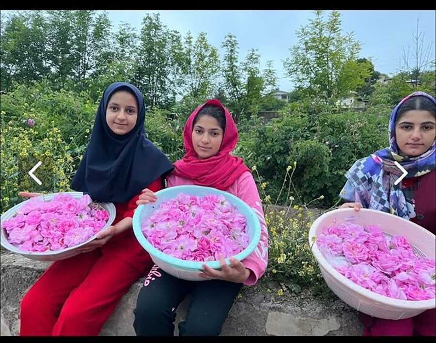 مدرسه ای که باغ گل و گیاه شد؛ ابتکار خلاقانه در بخش کجور