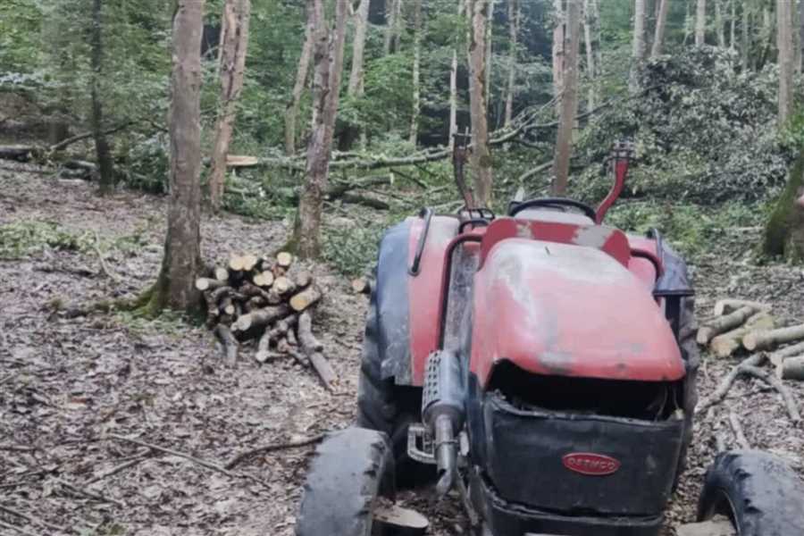کشف چوب‌آلات غیرمجاز در قائمشهر