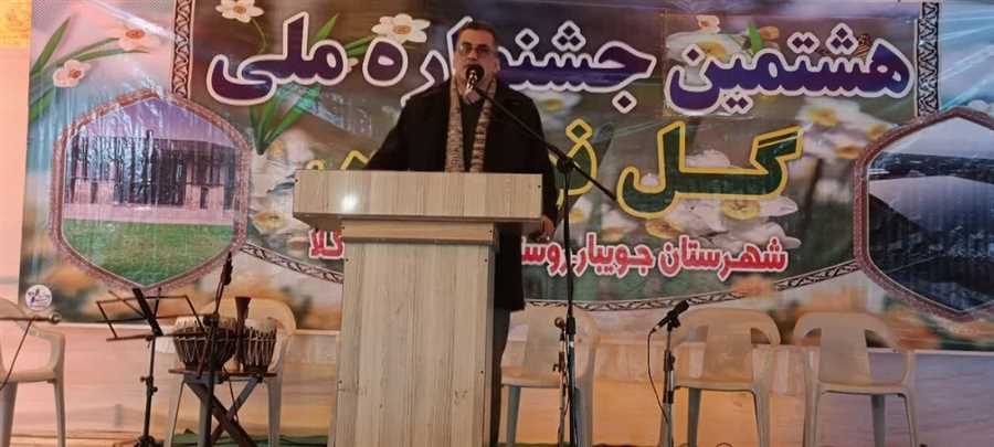 آغاز به کار هشتمین جشنواره ملی گل نرگس در روستای کردکلای جویبار